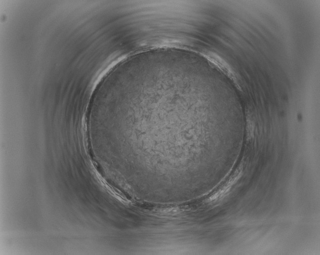 X0000072960798200608041151