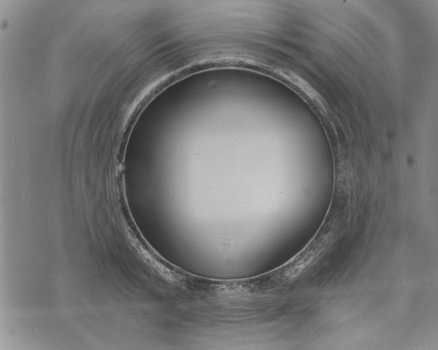 X0000072960799200608041151