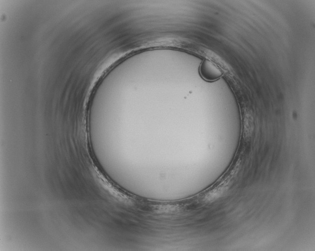 X0000072960800200608041151