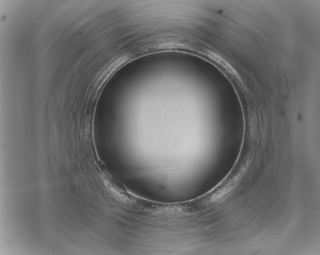 X0000072960801200608041151