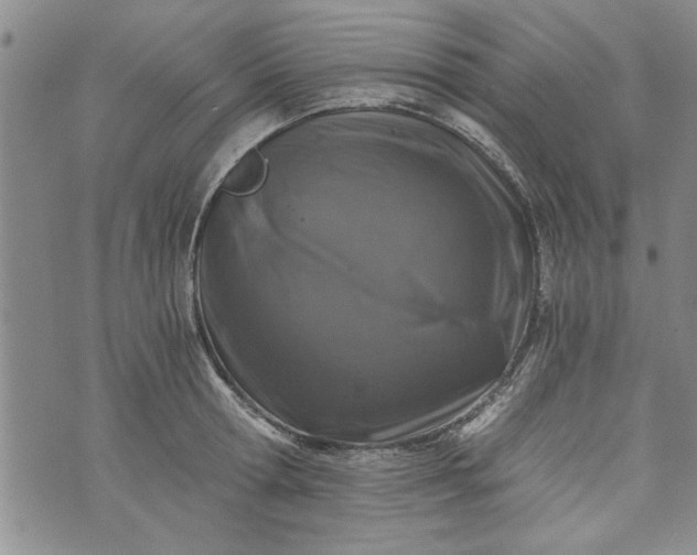 X0000072960802200608041151