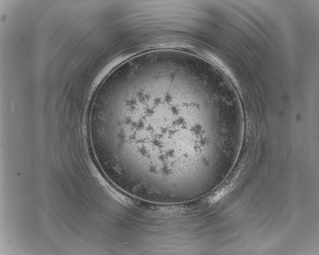 X0000072960803200608041151