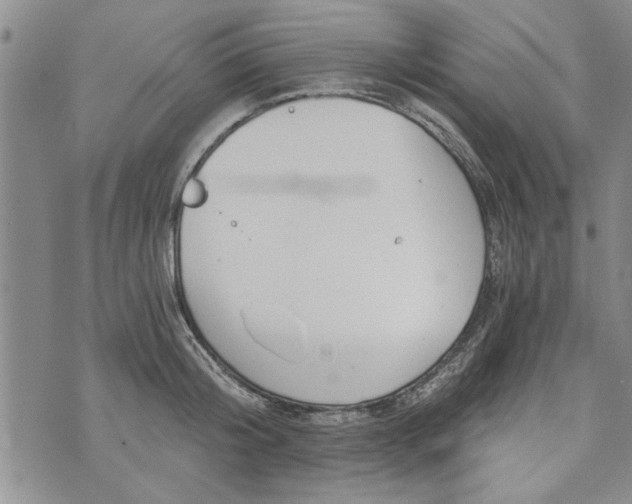 X0000072960804200608041151