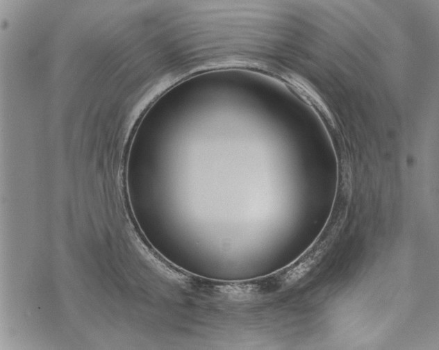 X0000072960805200608041151