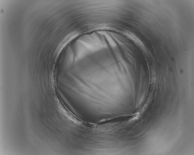 X0000072960806200608041151