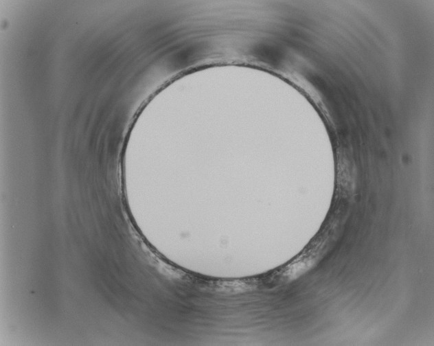 X0000072960807200608041151