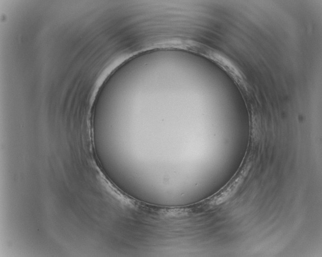 X0000072960808200608041151