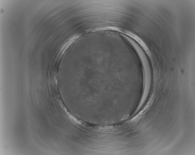 X0000072960809200608041151