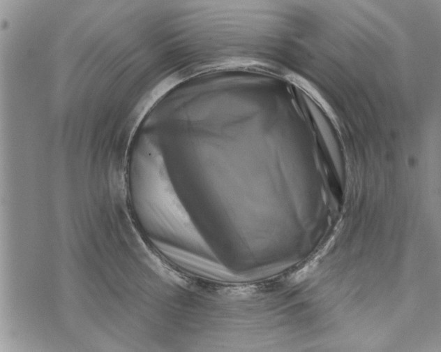 X0000072960810200608041151