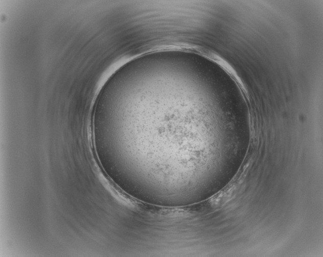 X0000072960811200608041151