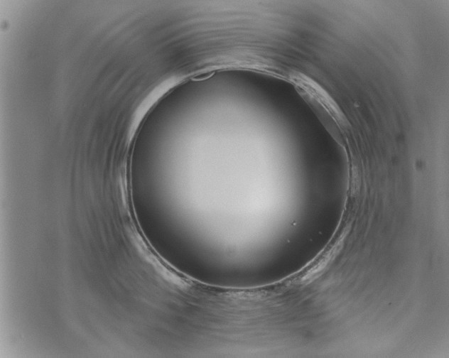 X0000072960812200608041151