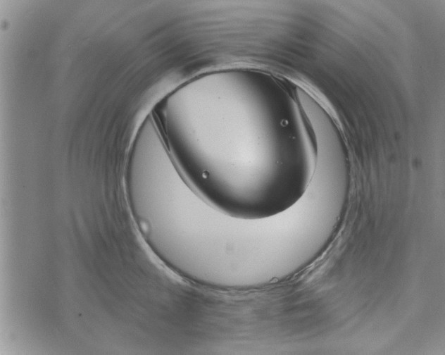 X0000072960813200608041151