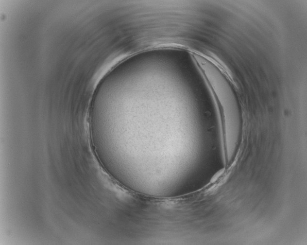 X0000072960814200608041151