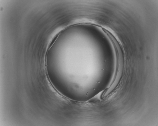 X0000072960815200608041151