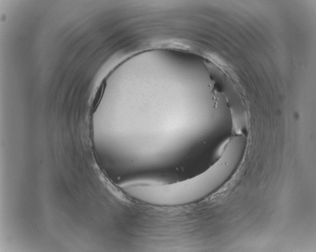 X0000072960816200608041151