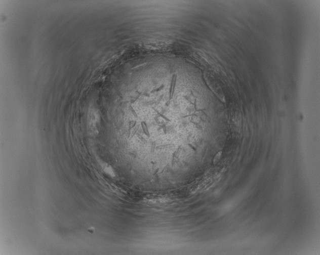 X0000072960817200608041150