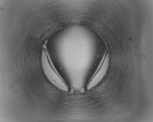 X0000072960818200608041150