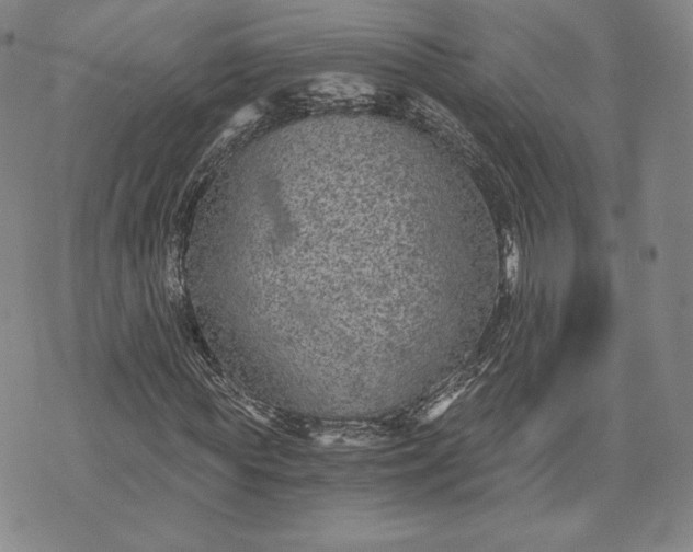 X0000072960819200608041150