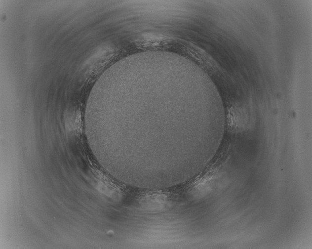 X0000072960820200608041150