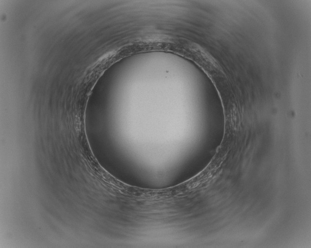 X0000072960821200608041150