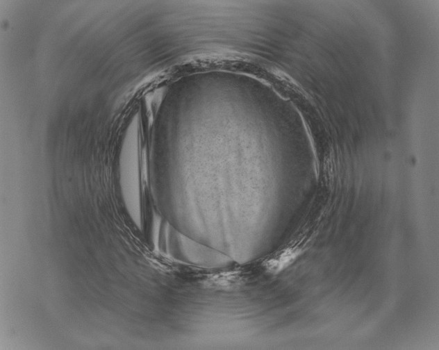 X0000072960822200608041150