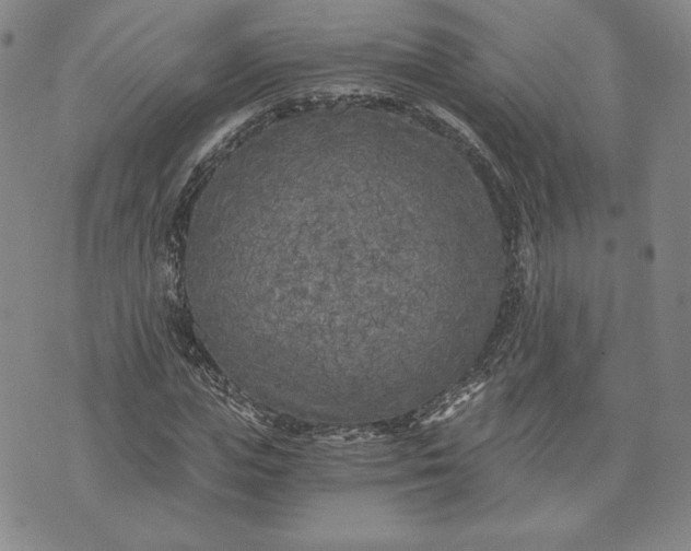 X0000072960823200608041150