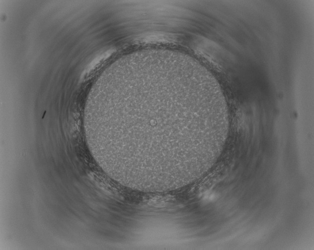 X0000072960824200608041150