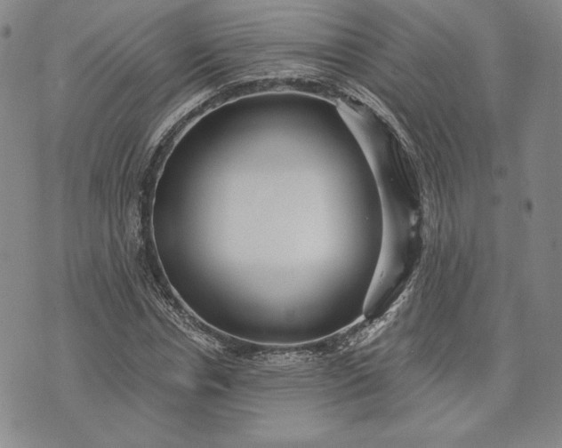 X0000072960826200608041150