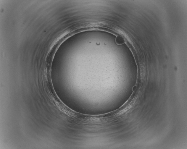 X0000072960827200608041150