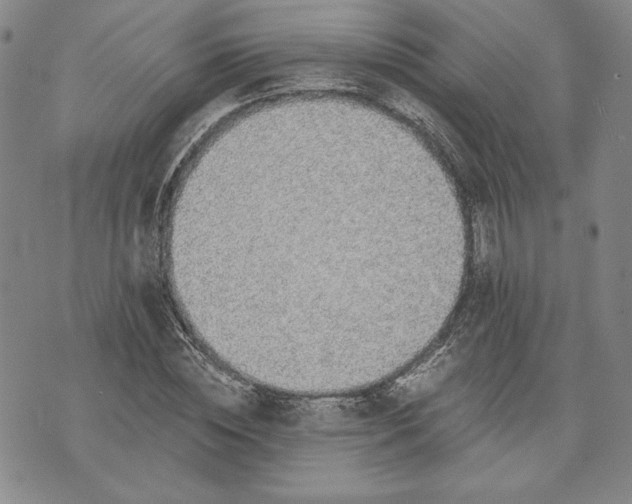 X0000072960828200608041150