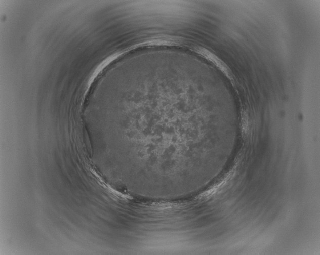 X0000072960829200608041150