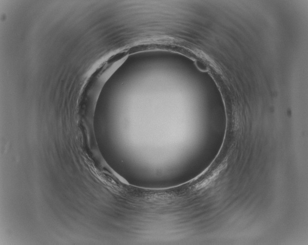 X0000072960830200608041150