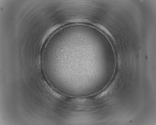 X0000072960831200608041150