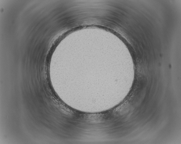 X0000072960832200608041150