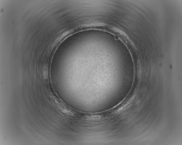 X0000072960833200608041150