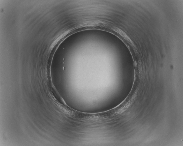 X0000072960834200608041150