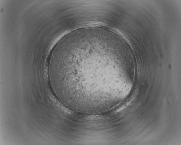 X0000072960835200608041151