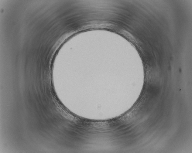 X0000072960836200608041151