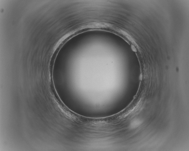 X0000072960837200608041151