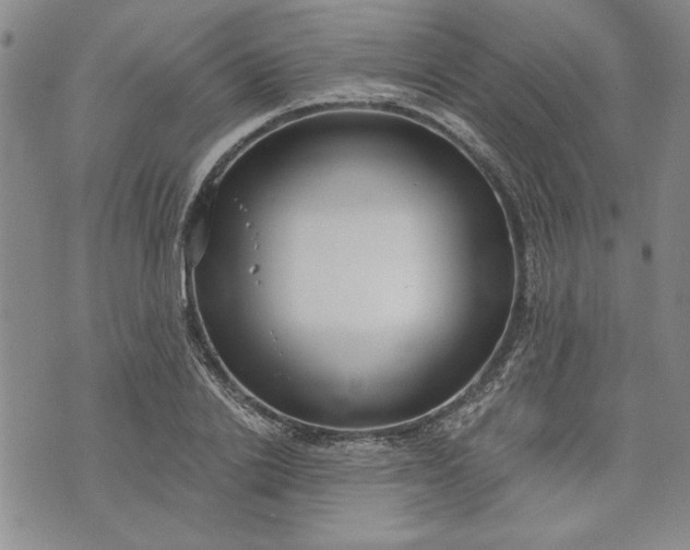 X0000072960838200608041151