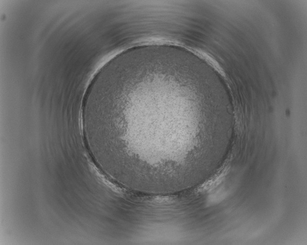 X0000072960839200608041151