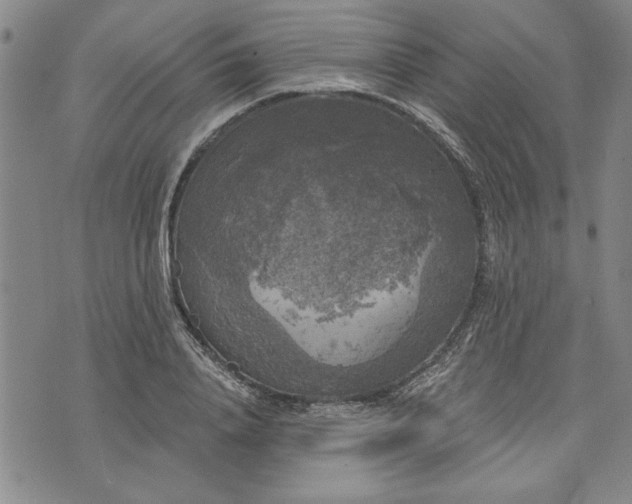 X0000072960840200608041151