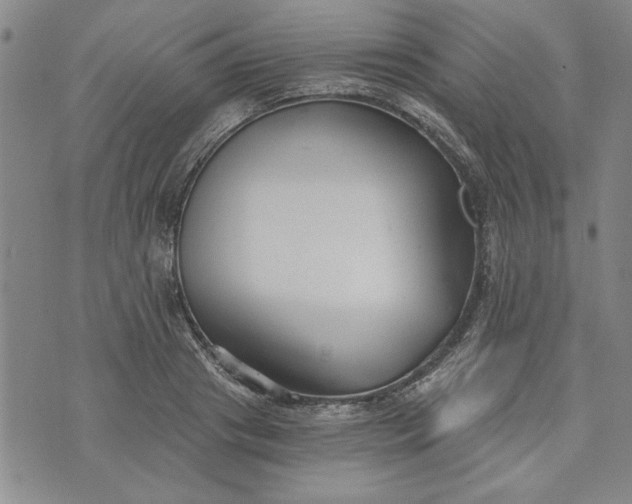 X0000072960841200608041151