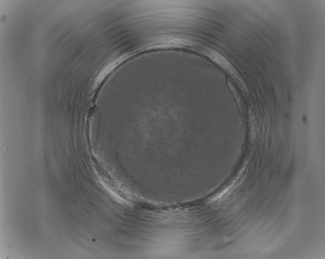 X0000072960842200608041151