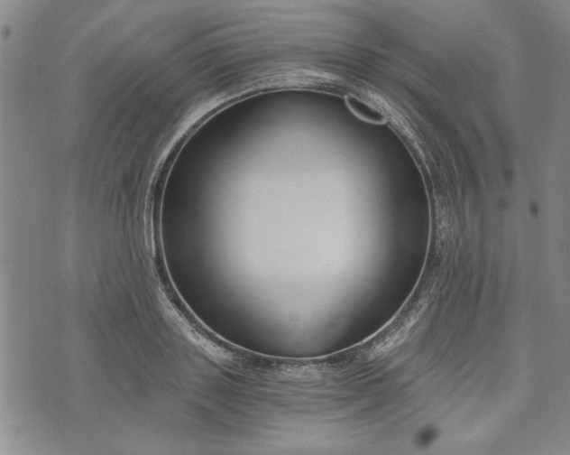 X0000072960843200608041151