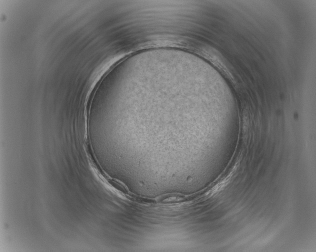 X0000072960844200608041151