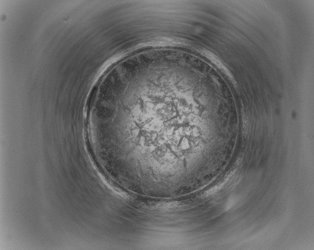 X0000072960845200608041151