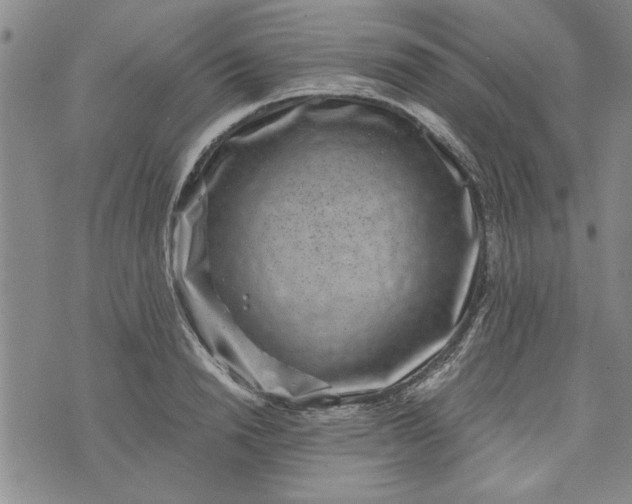 X0000072960846200608041151