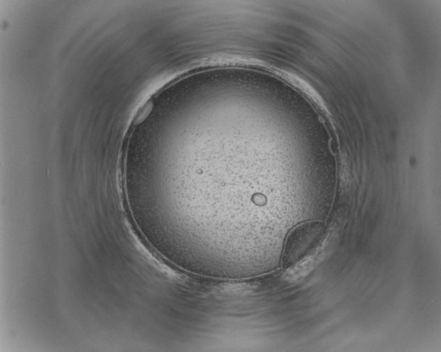 X0000072960847200608041151