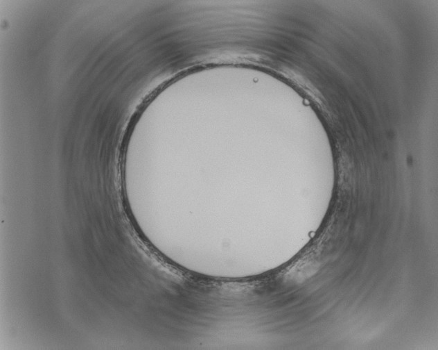 X0000072960848200608041151